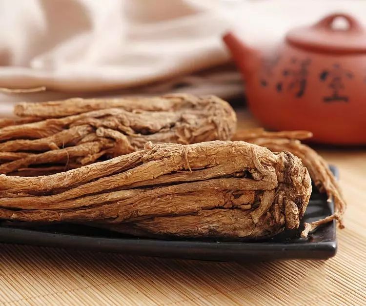 Angelica Sinensis (Dong Quai): A Comprehensive Overview