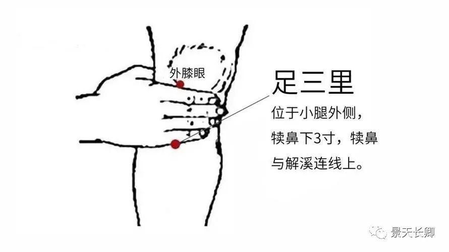 How to Improve Phlegm-Damp Constitution?