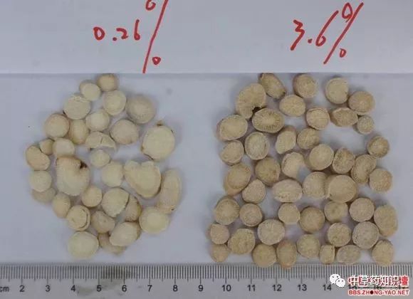 Traditional Chinese Medicine Herb: Bai Shao (White Peony)