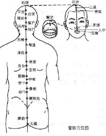 The Concept and Physiological Characteristics of the Eight Extraordinary Meridians