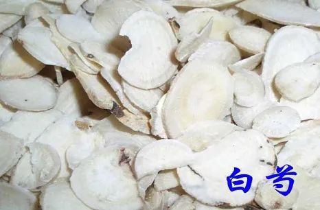 Daily Learning of a Chinese Herb: Bai Shao (White Peony)