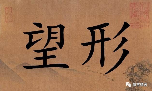 A Comprehensive Guide to Whole Body Observation in Traditional Chinese Medicine (Part 2)