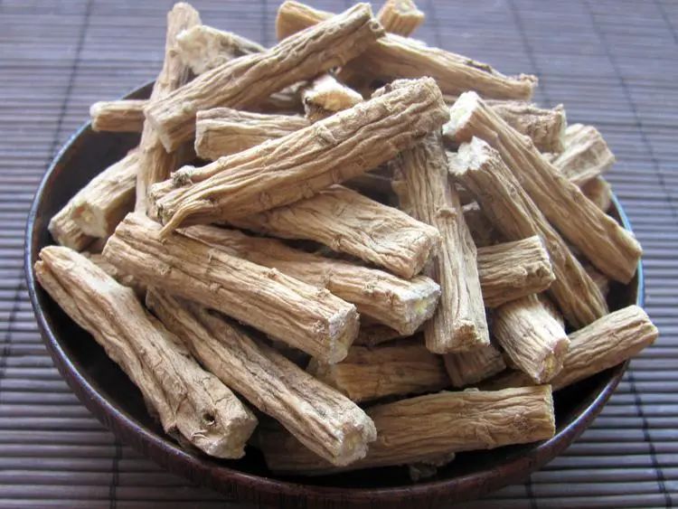 Knowledge of Ginseng Part Seven - The Effects and Usage of Codonopsis