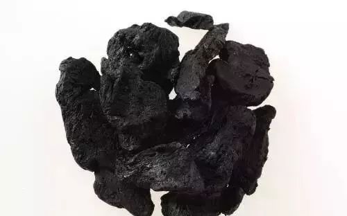 Understanding Rehmannia (Shu Di Huang)