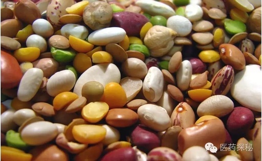 Nourishing with Grains: 6 Types of Beans for Summer Health
