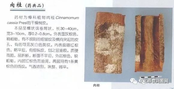 Knowledge of Chinese Medicinal Materials: Cinnamon
