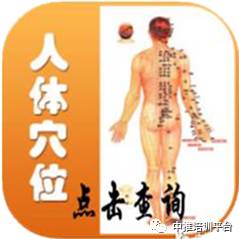Cupping Therapy for the Back: Methods of Retention, Flash, and Sliding Cupping