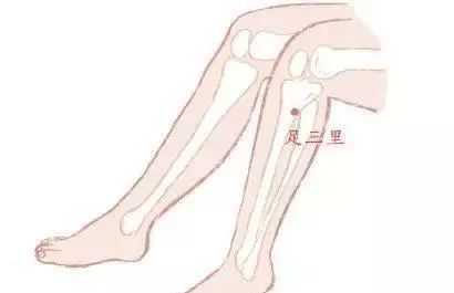 The Ten Most Important Acupuncture Points in the Human Body!