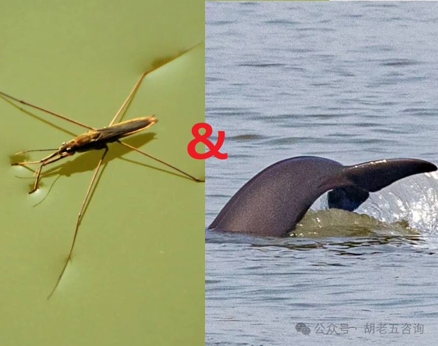 Discussion on the Theory of TCM Pulse Diagnosis: Can the Ru Pulse and Chen Pulse Coexist?