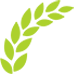 Intercropping in Vegetable Cultivation: Mutual Beneficial and Harmful Relationships