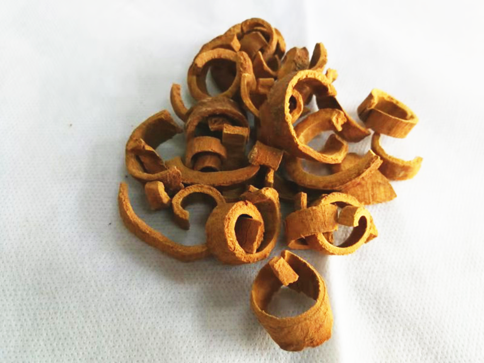 Understanding Cinnamon in Traditional Chinese Medicine