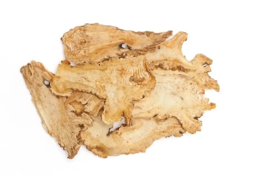 Angelica Sinensis: The Story Behind This Chinese Herbal Medicine