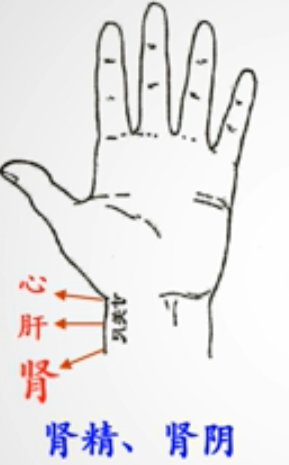 Traditional Chinese Medicine Diagnosis - Pulse Diagnosis