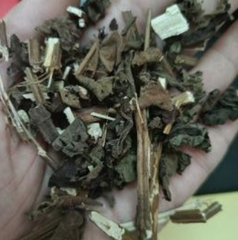 What is 'Dampness' as Commonly Said by People in Guangdong? Recommended TCM Formulas for Dampness Removal