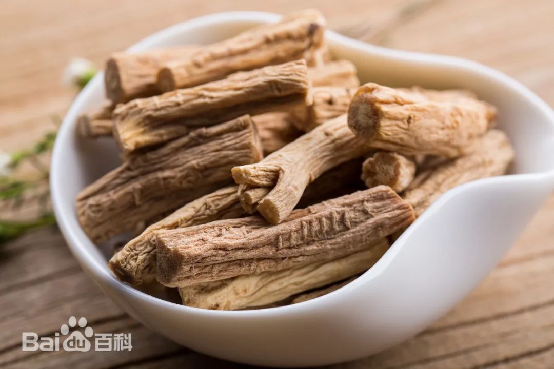 Understanding Chinese Herbs: Codonopsis (Dang Shen)