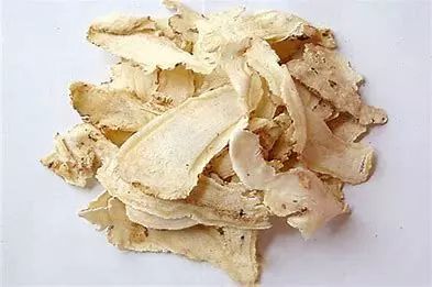Angelica Sinensis (Dong Quai) - Comprehensive Overview