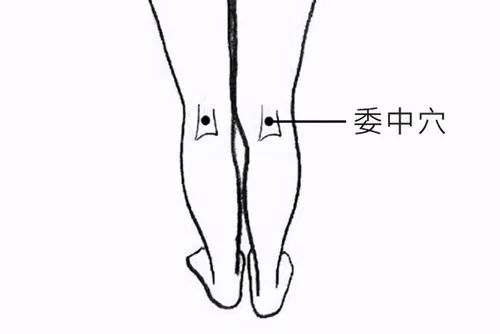 The 12 Essential Acupuncture Points for Treating Various Ailments!