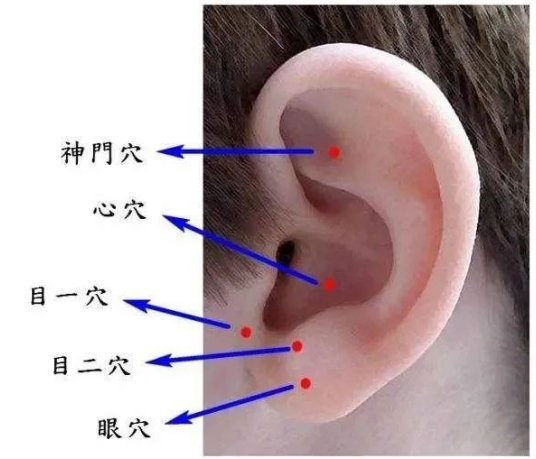 Moxibustion on This Specific Area Equates to Nourishing the Entire Body's Meridians! It's Not Too Late to Start!