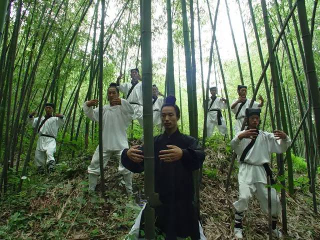 The Yin Qi That Steals Decades from Our Lives (In-Depth Article)