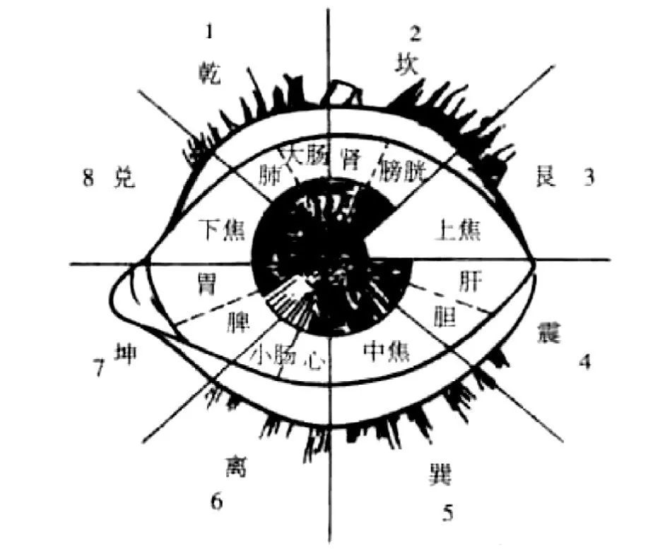 Observing the Sclera: Understanding Disease Through the Eyes