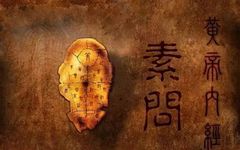 Essence of the Huangdi Neijing: Must-Know Concepts!