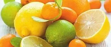 Can Dietary Therapy Help Lower High Blood Lipids Without Medication?