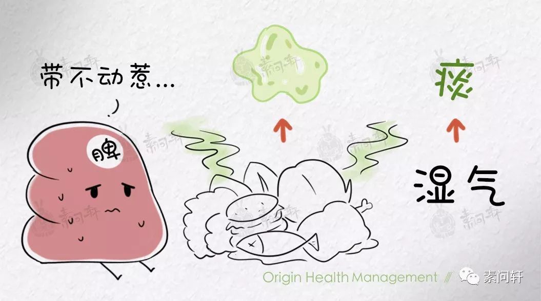 Phlegm-Dampness: The True Root of All Diseases - Do You Have These Twelve Symptoms of Phlegm-Damp Constitution?