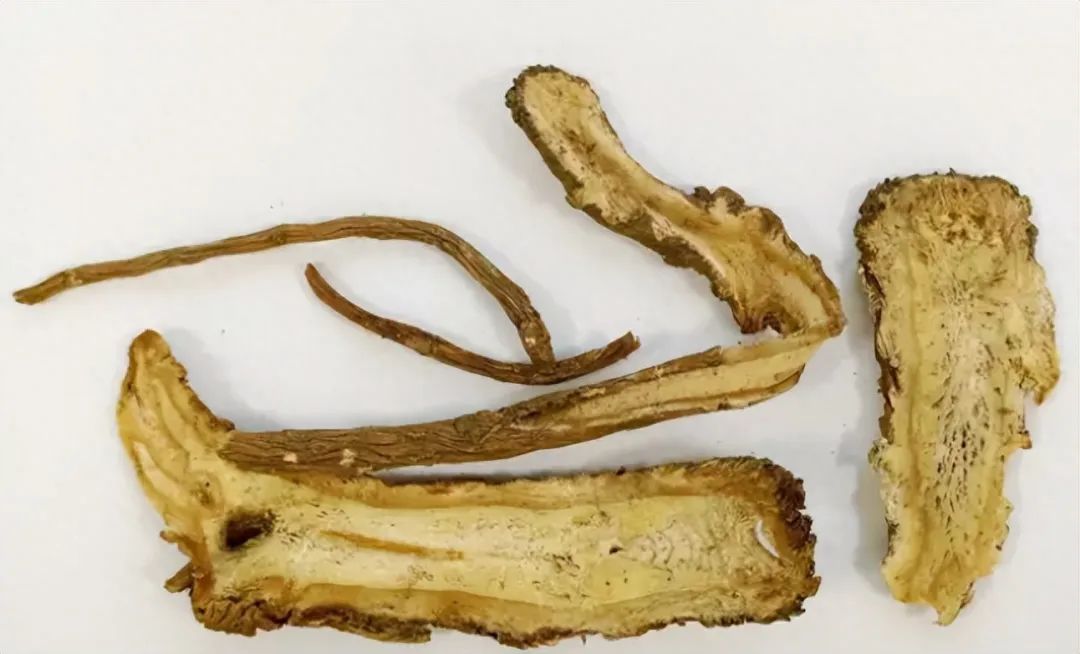 Identification of Angelica Sinensis (Dong Gui)