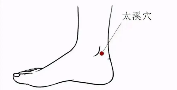 Traditional Chinese Medicine for Health Preservation