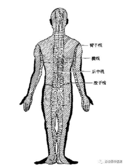 Traditional Chinese Medicine Techniques: Acupuncture Techniques