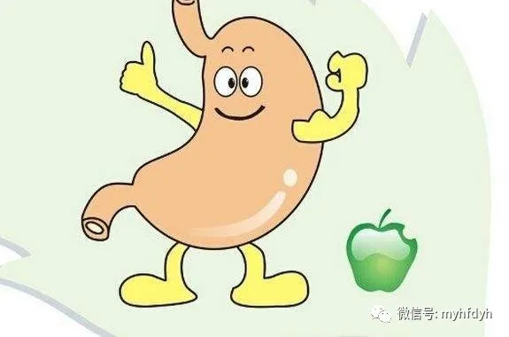 Nine Effective Remedies for Improving Spleen and Stomach Yang Deficiency
