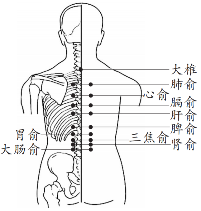 Understanding 'Heat': The Benefits of Cupping Therapy in Summer