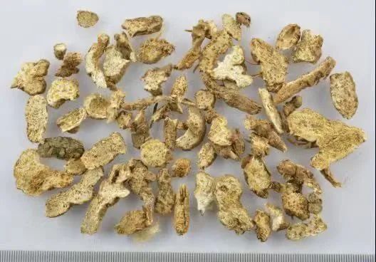 Weekly Herb Spotlight: Cang Zhu (Atractylodes)