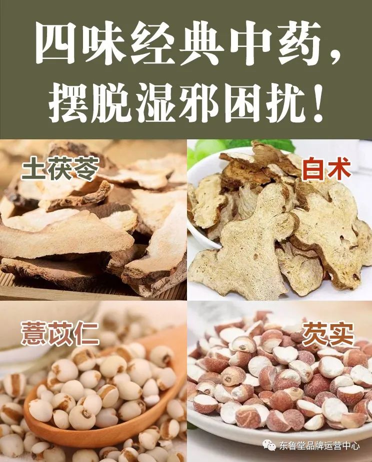 Effective Methods to Eliminate Dampness with Four Traditional Chinese Herbs