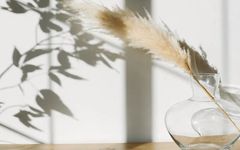 How to Determine Whether Your Body is Yin Deficient, Yang Deficient, or Both? Should You Nourish Yin or Warm Yang First?