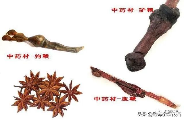 Transformation of Kidney Yin Deficiency and Kidney Yang Deficiency into Both Kidney Yin and Yang Deficiency: Symptoms and 15 Commonly Used TCM Formulas