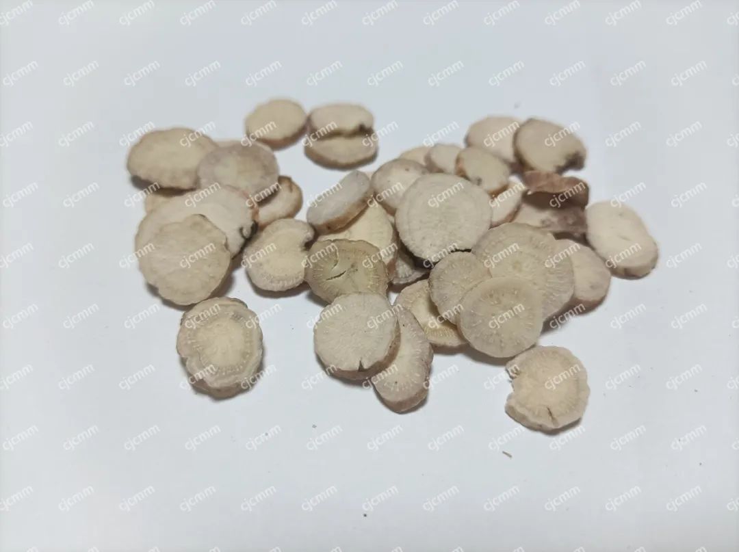 Spleen and Kidney Yang Deficiency Causes Numerous Illnesses: This Classic Formula Warms the Yang Qi of the Spleen and Kidney, Specializing in Eliminating Water Pathogens!
