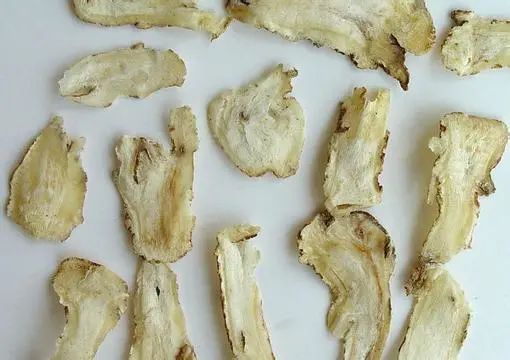 Angelica Sinensis (Dang Gui): A Comprehensive Overview