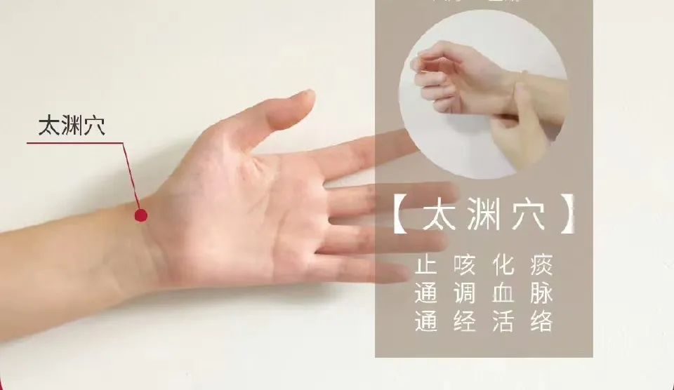 Understanding Qi Deficiency: Boost Your Vital Energy by Stimulating These 5 Acupuncture Points!