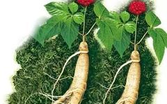 The Efficacy and Consumption Methods of Ginseng