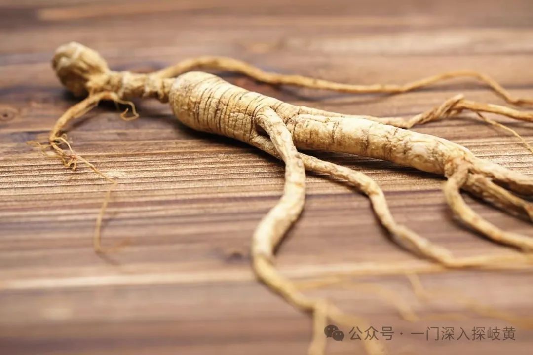 A Brief Discussion on Ginseng