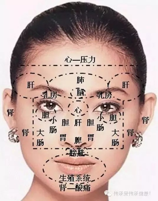 Traditional Chinese Medicine Facial Diagnosis: Key Insights