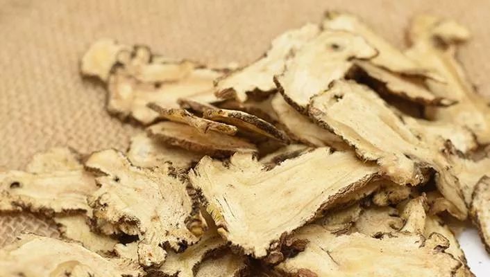 Angelica Sinensis: A Sacred Herb for Women's Health