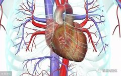 TCM Deficiency Syndromes: Yin Deficiency and Clinical Manifestations