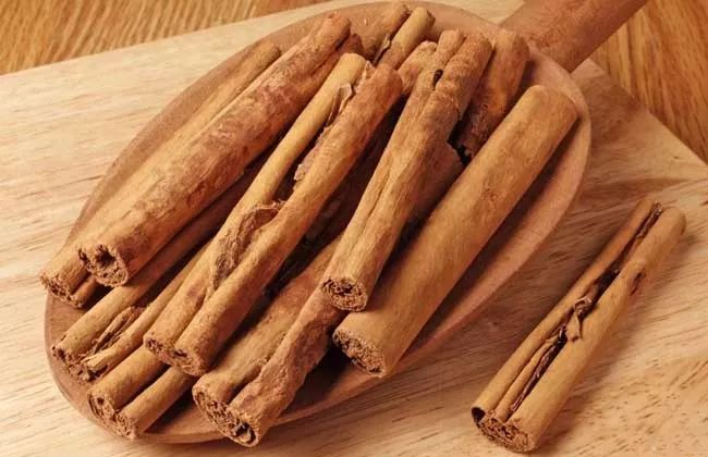 Cinnamon: Guiding Yang Qi Back Home