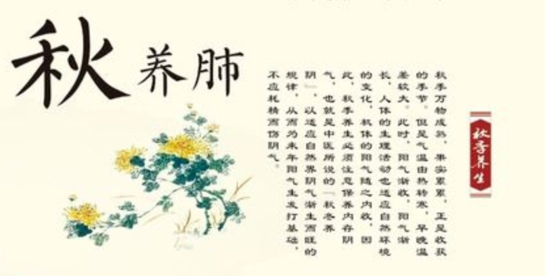 Health Science Popularization: TCM Seasonal Health Tips