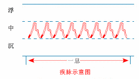 The Twenty-Eight Pulses and All Pulse Patterns in Traditional Chinese Medicine (Animated Illustrations)