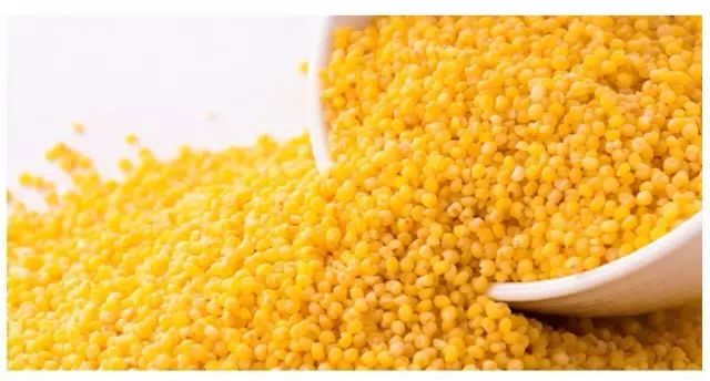 The Health Benefits of Consuming Grains