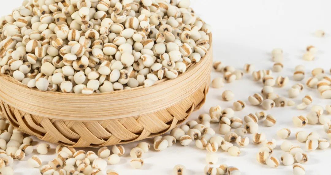 Medicinal and Edible Properties of Coix Seed