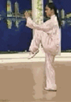 Comprehensive Guide to Tai Chi Movements: Exercise at Home!